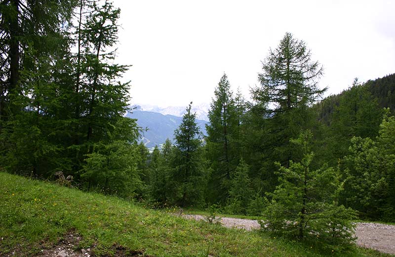 L'Alta Via di Dobbiaco